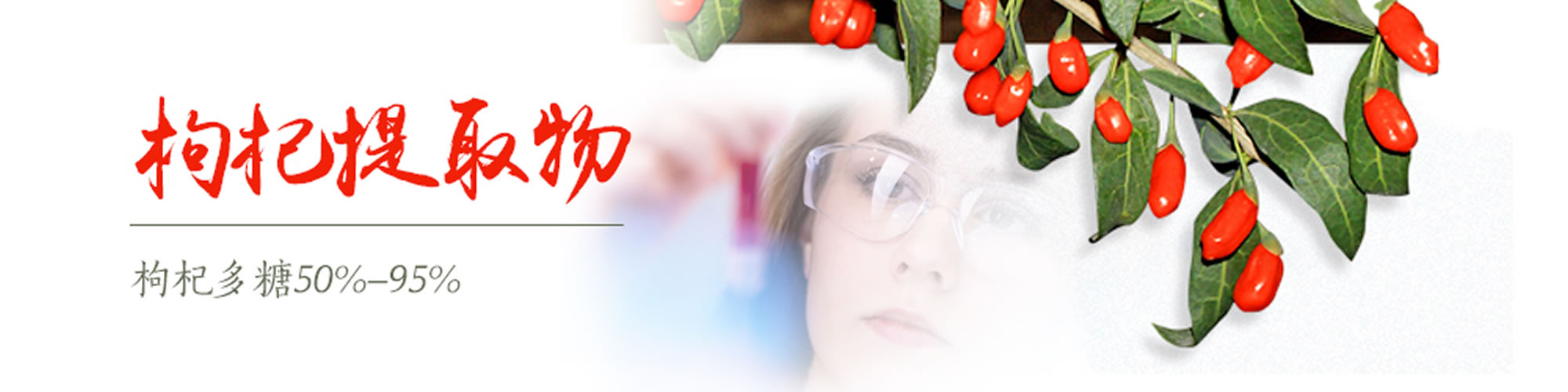 banner2-cn